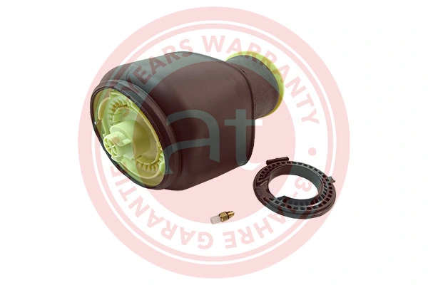 Air Spring, suspension